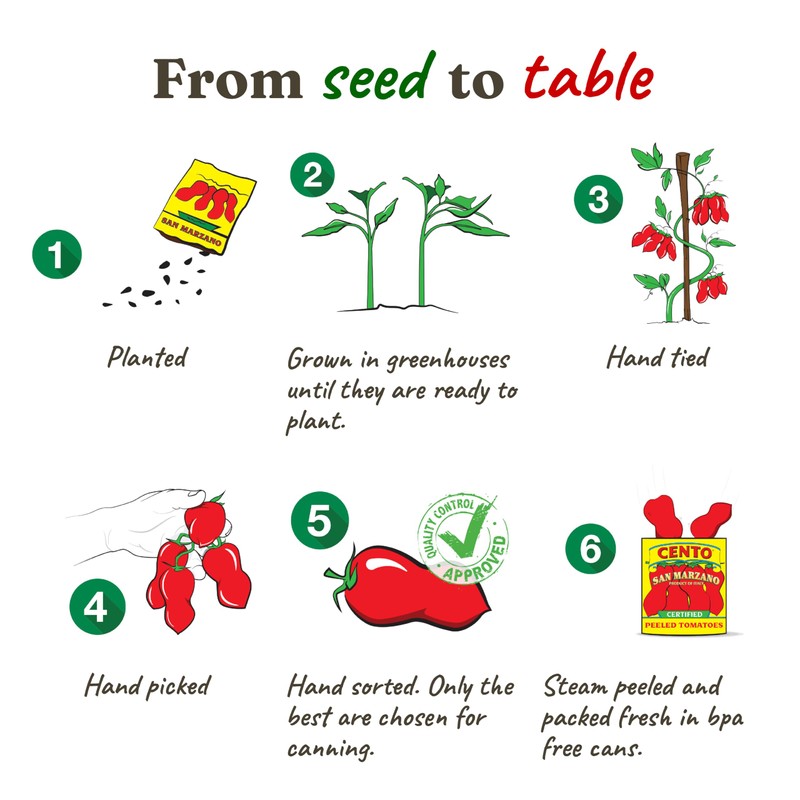 Cento Organic Certified San Marzano Whole Peeled Tomatoes 28 Oz