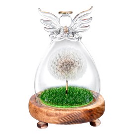 Gifts for Women, Wish Filler, Real Dandelion in Glass Angel Figures, Birthday, Valentine's Day, Wedding, Mother's Day, Christmas Gifts for Mum, Grandma, Girlfriend, Sister, Girls Gifts