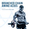 Applied Nutrition BCAA 6K (4:1:1) – 6000mg Branched Chain Amino