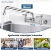 Airuida Wall Mount Utility Kitchen Sink Faucet 2 Handle Wall