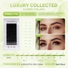 NAGARAKU Individual Eyelash Extensions, Luxury Collected Classic Single Lashes Upgraded
