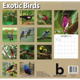 2026 Exotic Birds 16-month (Sept 2025 through Dec 2026) 12"x12" Wall Calendar