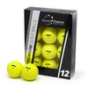 Second Chance Recycled Lake Golf Balls, 12 Pack, Mixed Golf