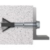 Aerated Concrete Anchor Fishermen FPX M8 I - VPE Pack