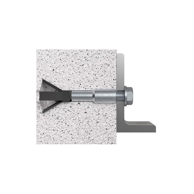 Aerated Concrete Anchor Fishermen FPX M8 I - VPE Pack