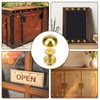 8Pcs Pure Brass Decorative Screws with Caps Mirror Fixing Screw