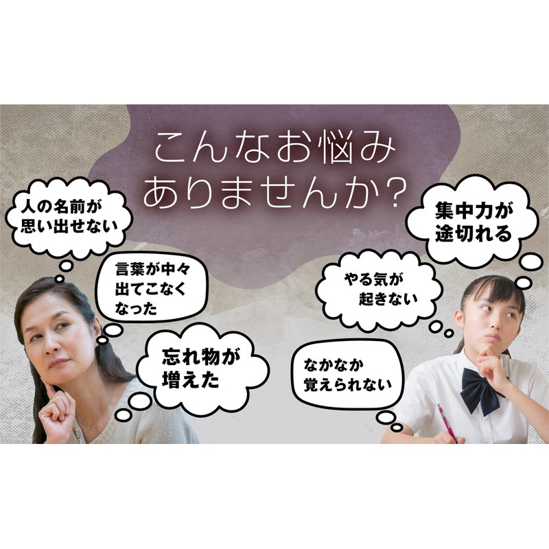 うっかり予防 集中力 やる気 学習力上昇に【国際中医師監修】 ひらめきの実 約30日分 90粒 プロティゴールド®＆フェルラ酸＆イチョウ葉＆GABA配合 健脳サプリ