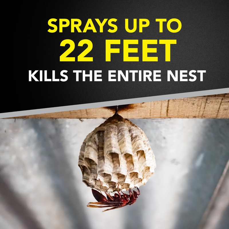 Raid Wasp & Hornet Killer Spray, Bug Killer Kills the