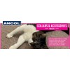 Ancol Hi-Vis Cat Collar Green