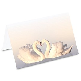 PRICARO Swan Love Place Cards (Pack of 50)