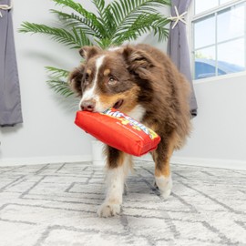 SPOT by Ethical Products - Fun Candy - Whimsical Funny Squeak Toys for Dog - Skit-Tails