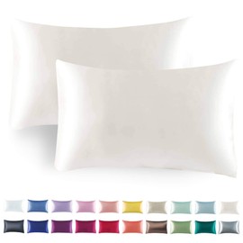Tyfitb Satin Pillowcase 2-Pack for Hair & Skin Care - Standard Size(20×26") Cooling & Hypoallergenic with Envelope Closure, Fights Frizz, Wrinkles & Acne Ready