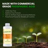 Humboldts Secret pH Down for Plants | Liquid pH Adjuster