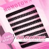 Cluster Lashes 200pcs 30D 40D 50D 60D 80D 100D DIY