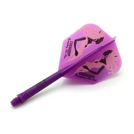 CUESOUL Rust Integrated Dart Shafts and Flights, with Exclusive Pattern Design, Pack of 6