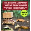 Reptile World Reptile World Tortoise Edible Bedding 300g | Readi