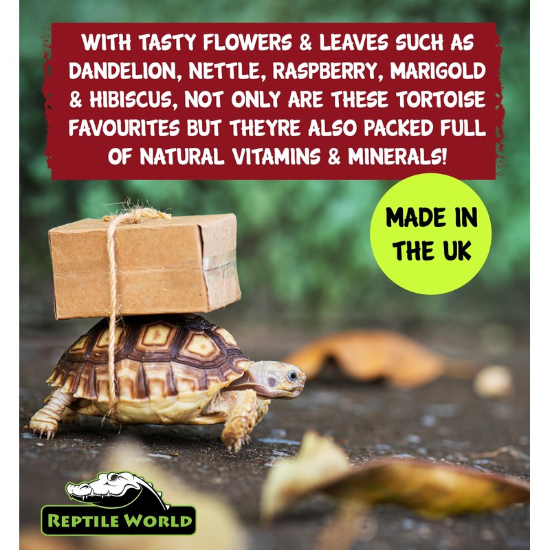 Reptile World Reptile World Tortoise Edible Bedding 300g | Readi