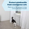 PetSafe ScatMat Indoor Pet Training Mats - Helps Prevent Furniture