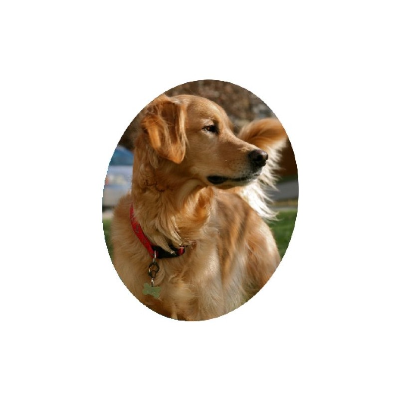 Small Curve Aluminum Dog Tag Clip - Red