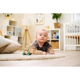 Eichhorn EH Baby Hipp Schiebe-Esel