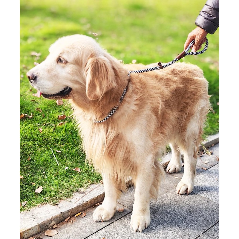 YUCFOREN 3FT Slip Lead Dog Leash, 1/2 Inch Thick Nylon