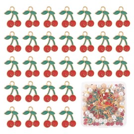 SUNNYCLUE 1 Box 60Pcs Red Cherry Charms Cherry Charm Bulk Fruit Kawaii Red Cute Mini Enamel Alloy Cartoon Sweet Food Berries Charms for jewellery Making Charms Earrings Necklace Bracelets DIY Crafts