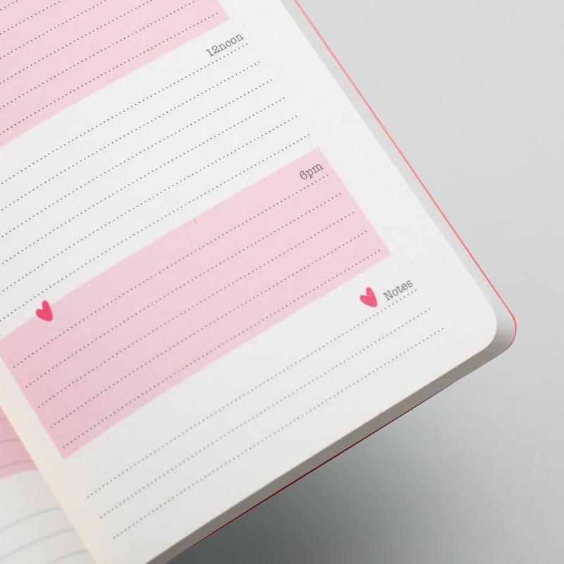 Matilda Moo 2025 diary | A6 diary | day on