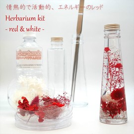 Yokohama Herbarium 2-ban Shop Herbarium Kit, Set of 2, Easy to Make for Beginners (Includes Tweezers) (Red)