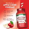 Apple Cider Vinegar 1200 mg Flavor