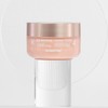 Dermapump 더마펌 에이지 리바이빙 퍼밍 크림 A4 50ml Dermafirm Age