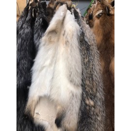 Badger Hide Tanned Taxidermy Cabin Decor