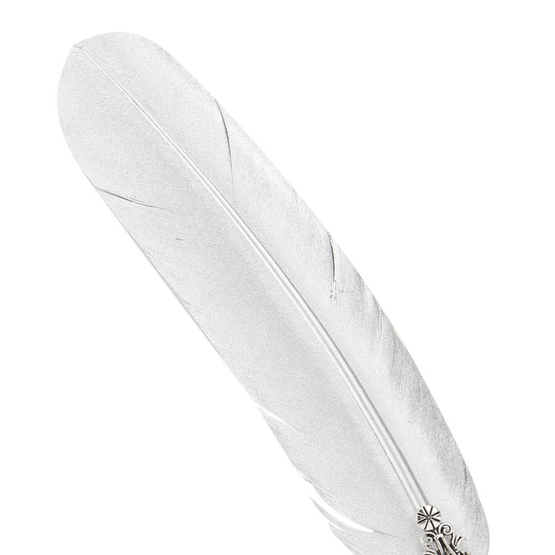 Vintage Classical Fountain Pen Sign Pen Calligraphy Feather Quill Dip