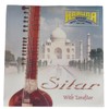 BHAVICREATION Sitar Strings (7 Main Strings With Tarafdar) + 3