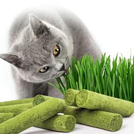 Petllgood 30g Cat Grass Teething Stick, Freeze Dried Cat Grass Stick Edible Cat Chew Toy for Teeth Cleaning Dental Health and Hairball Removal