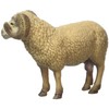 Schleich Ram