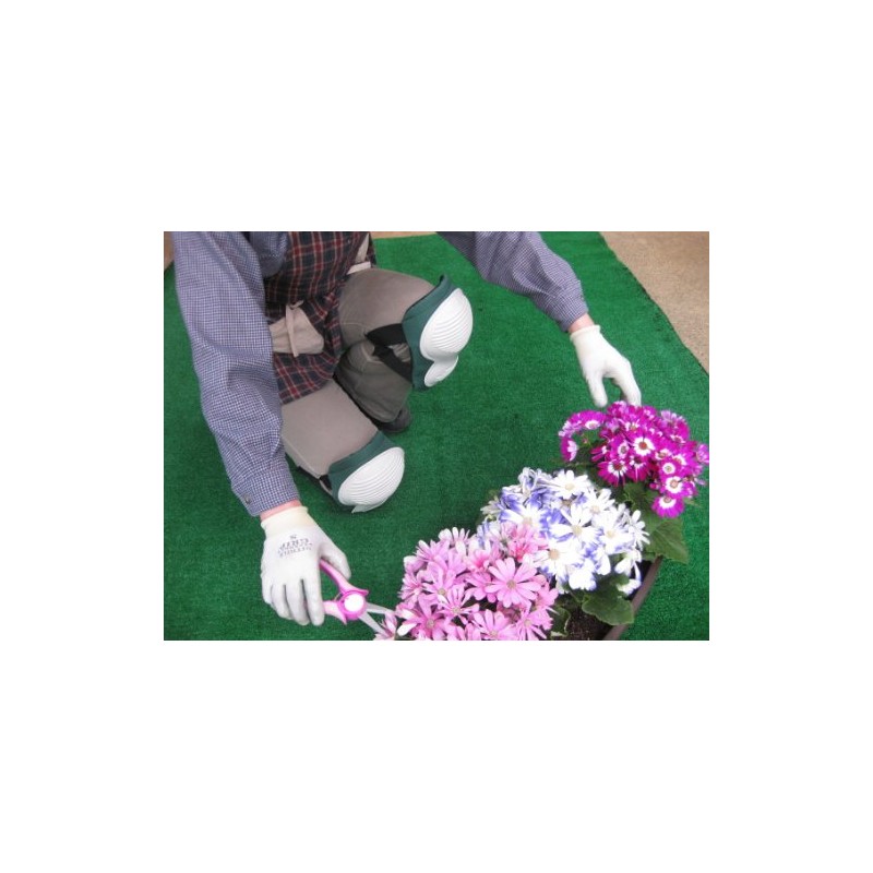 konparu Garden Kneeling at the set of 2