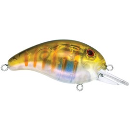 Livingston 072010209 Señuelo de Pesca DM Jr True Bream