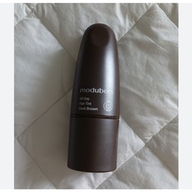 1 Second Gray Hair Cover Modbom All Day Hair Tint Stick Hair Mascara Gray Hair Cover, 1 Piece, Dark Brown / 1초 새치커버 모두봄 올데이 헤어틴트 스틱 헤어마스카라 흰머리커버, 1개, 다크브라운