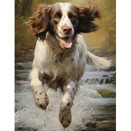 A4 Drawing Book: Sketchbook Gift For Kids Who Love Springer Spaniels