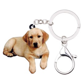 DUOWEI Acrylic Beige Labrador Dog Keyring Cute Puppy Pets Key Ring Handbag Purse for Women Teens Girls Gifts, beige