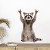 GRAZDesign Wall Tattoo Raccoon Funny Wall Sticker for Living Room