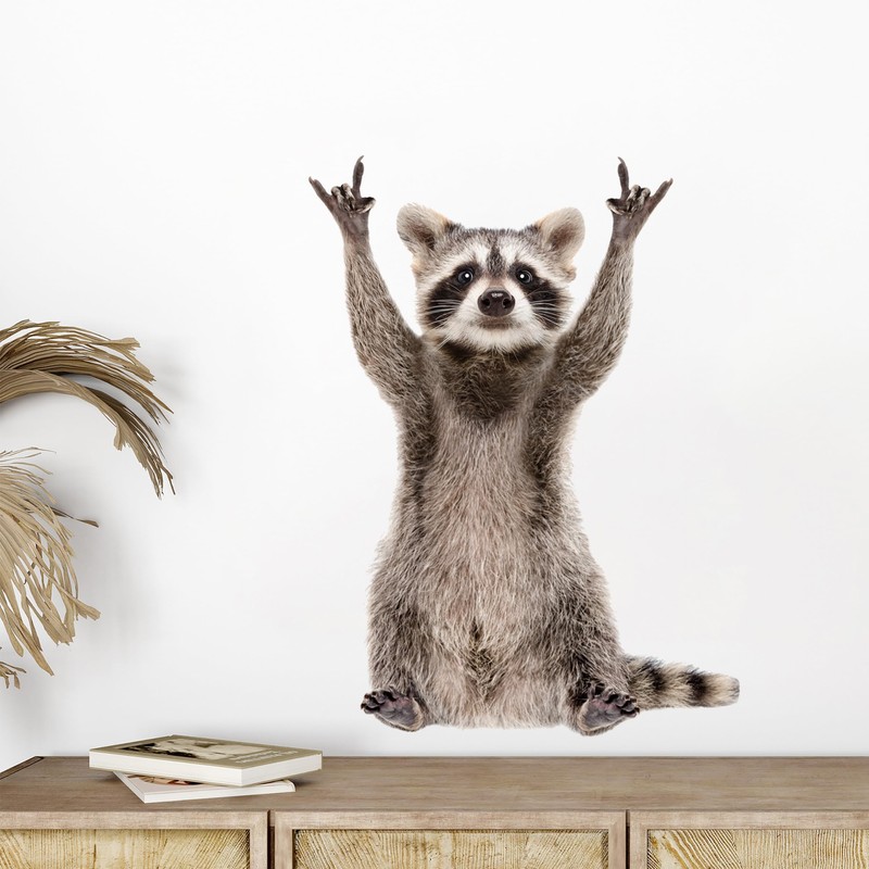 GRAZDesign Wall Tattoo Raccoon Funny Wall Sticker for Living Room