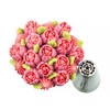 Nifty Nozzles Mini Russian 13 pc Piping Tip Set, Sugar