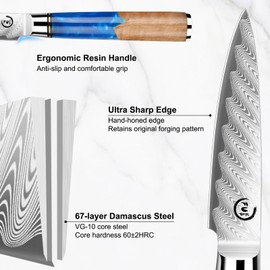 Fukep Paring Knife 3.5 Inch Damascus Paring Knife Small Fruit Knife Ultra Sharp Damascus VG10 Core Steel with 66 Layers High Carbon Steel Classical Pattern Blue Handle Unique Gifts with Gift Box