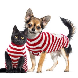 DOGGYZSTYLE Dog Christmas Sweater Xmas Pet Clothes Cute Striped Santa Claus Costume Holiday Puppy Cat Jumpers Outfits New Year Gifts for Small Medium Large Dogs (M, Red White Stripe Santa Claus)