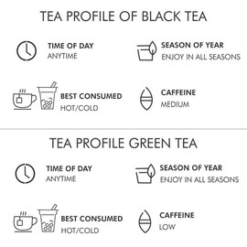 Octavius 2 Assorted Black Tea and Green Tea Flavors | Enveloped Tea Bags for Freshness | English Breakfast & Pure Green Tea Green Tea | Economy Pack - 100 Tea Bag Tea Bags