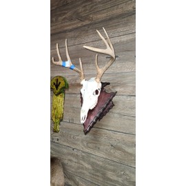 Generic European Deer Mounting Plaque Small knapped Arrowhead Black Cherry