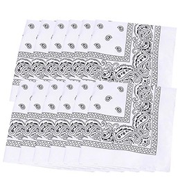 Pack of 12 Paisley Bandanas Square Unisex Headwear Neckerchief Doule Side Print (White)