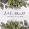 Archipelago Botanicals Charcoal Rose Body Wash, Moisturizing and Daily Body
