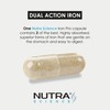 Iron PRO Complex (Dual Action Iron 2 Forms) Bisglycinate &